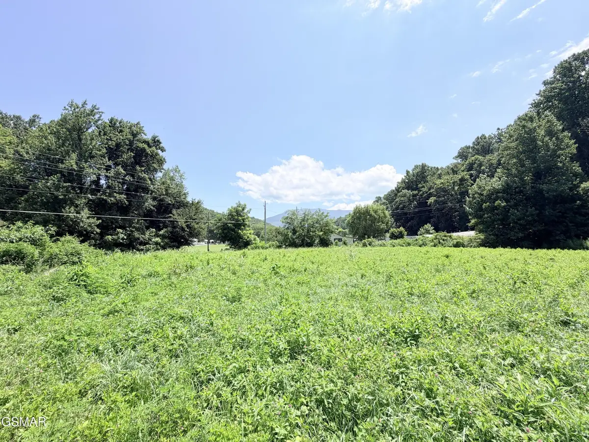 187 Hwy 32, Cosby, TN 37722 - #1