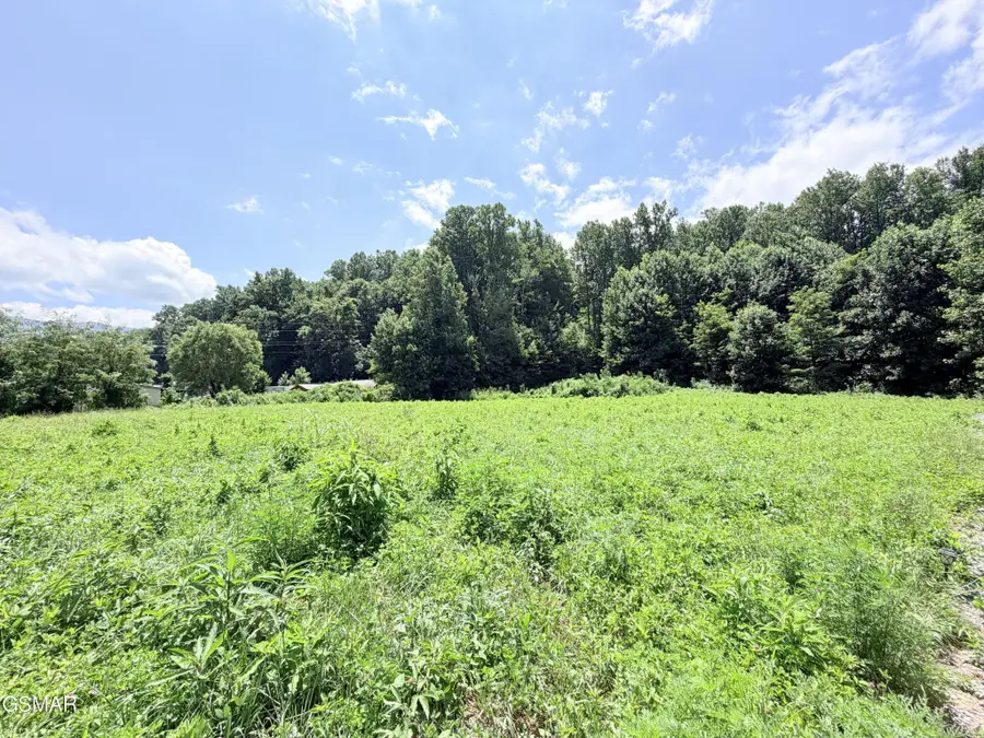 187 Hwy 32, Cosby, TN 37722 - #2