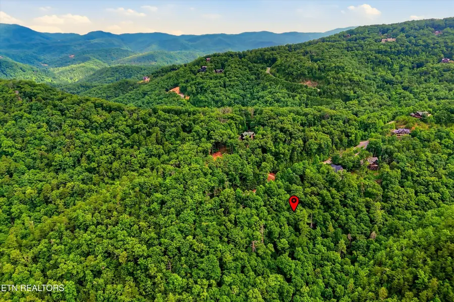 71 Redtail Rd, Sevierville, TN 37862 - #3