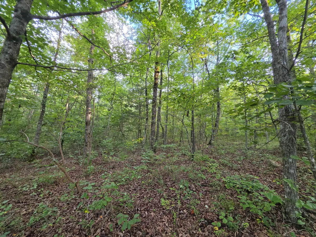 18 Meyers Road, Altamont, TN 37301 - #1
