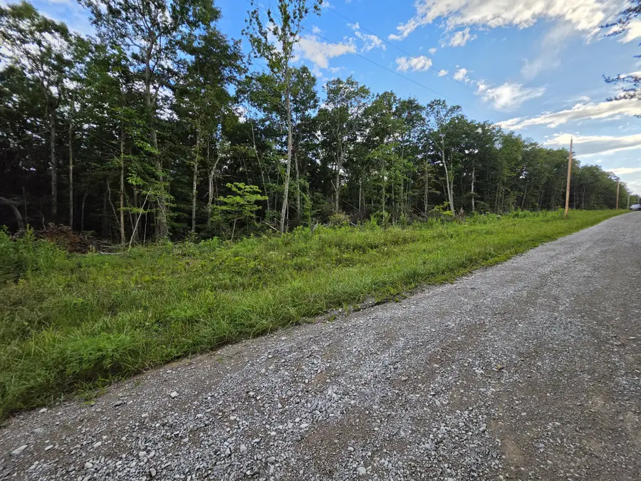 18 Meyers Road, Altamont, TN 37301 - #2