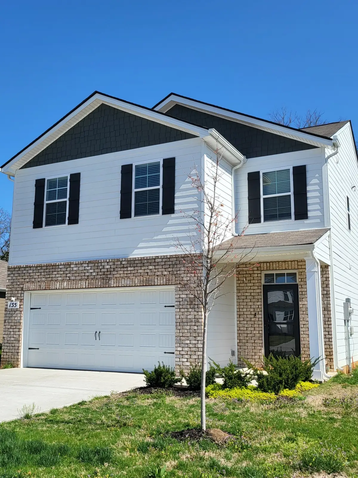 155 Olivia Cir, Chapel Hill, TN 37034 - #1