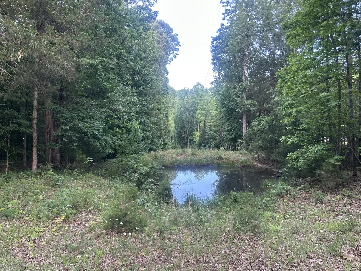 0 Bethany Rd, Erin, TN 37061 - #1