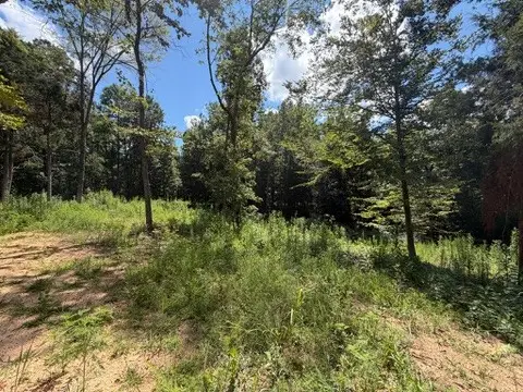 0 Center Point Rd S, Reagan, TN 38368 - #3