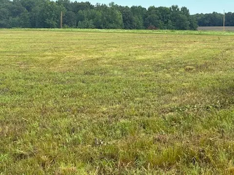 0 Rushing Road, Ethridge, TN 38456 - #3