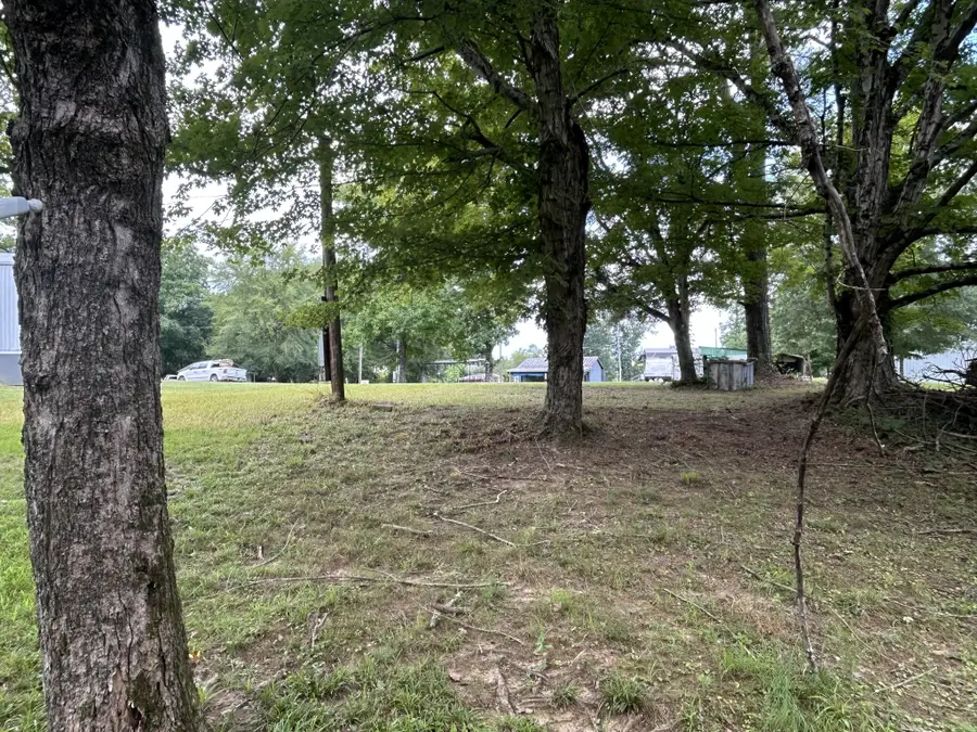 4346 Deer Creek Rd, Linden, TN 37096 - #2