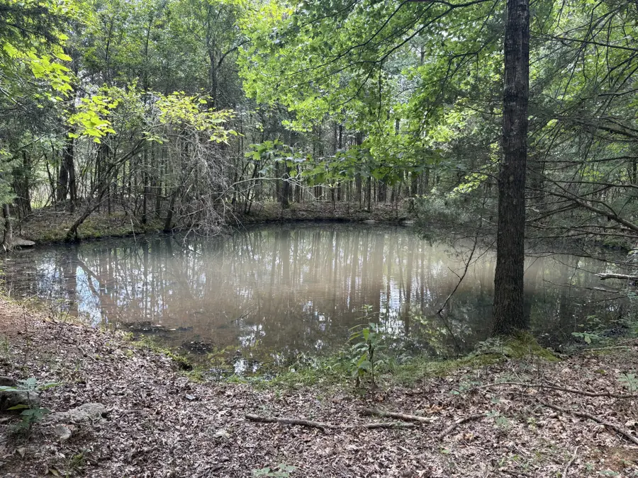 0 John Lunn Rd, Lewisburg, TN 37091 - #2
