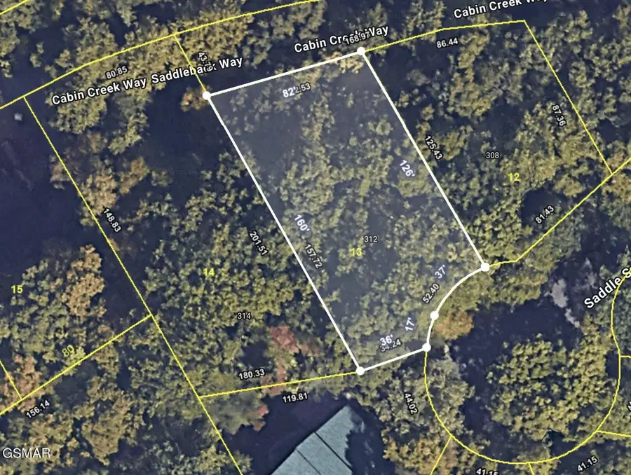 14 Cabin Creek Way, Sevierville, TN 37862 - #3