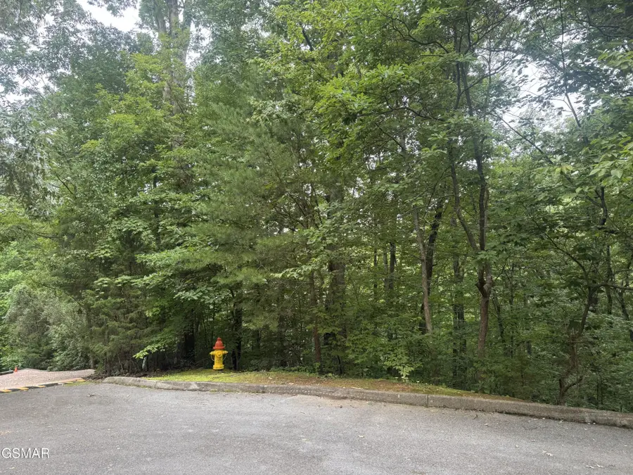 1214 Saddle Spur Way, Sevierville, TN 37862 - #2