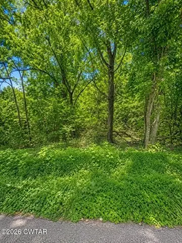 0 Reeves St, Lexington, TN 38351 - #1