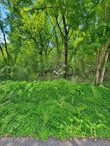 0 Reeves St, Lexington, TN 38351 - #3