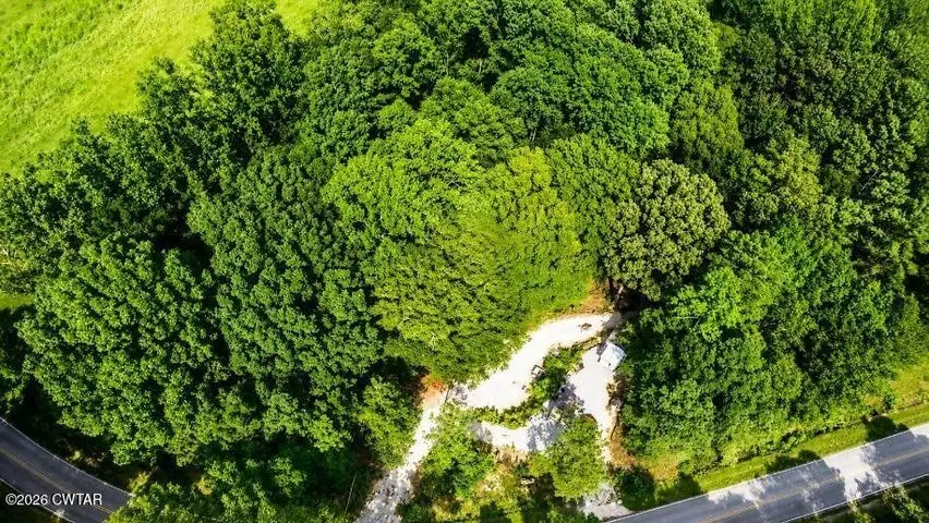 1034 Piney Creek Rd, Lexington, TN 38351 - #3