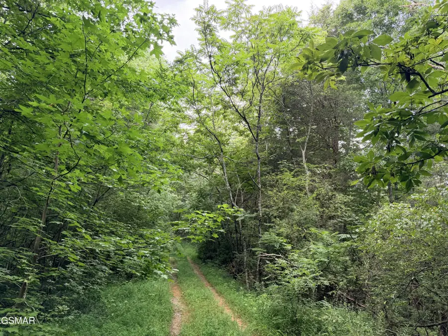0 E Hwy 25 70, Newport, TN 37821 - #2