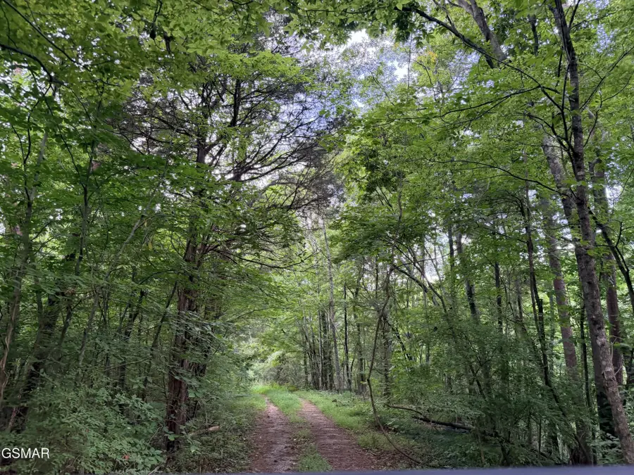 0 E Hwy 25 70, Newport, TN 37821 - #3