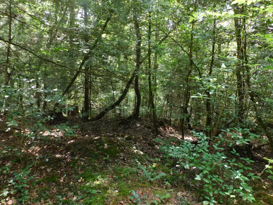 0 Old Highway 56, Coalmont, TN 37313 - #2