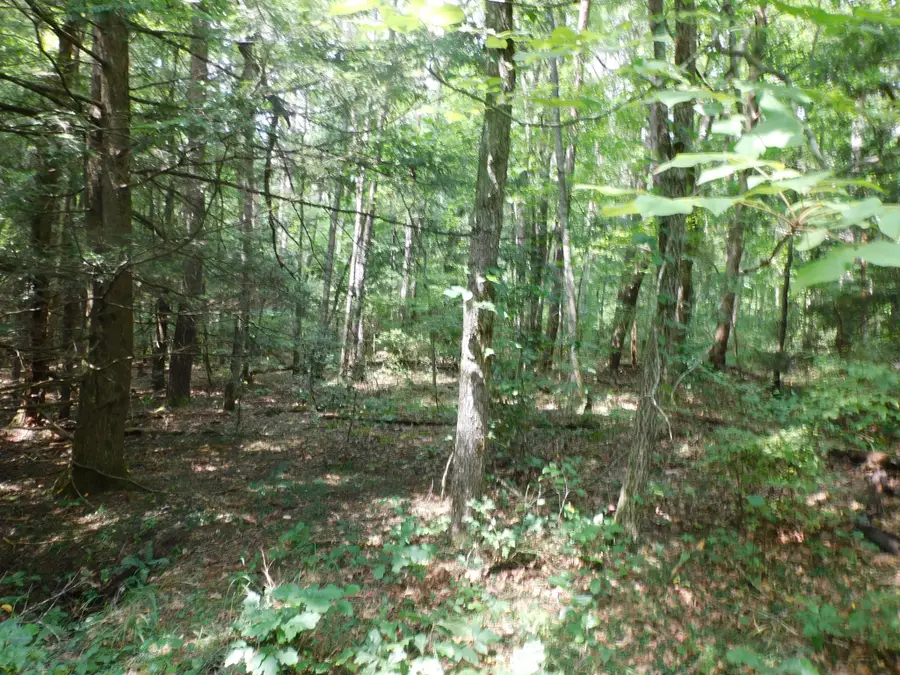 0 Old Highway 56, Coalmont, TN 37313 - #3