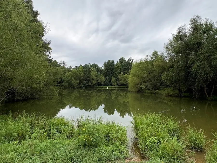 375 Ables Rd, Cottage Grove, TN 38224 - #3
