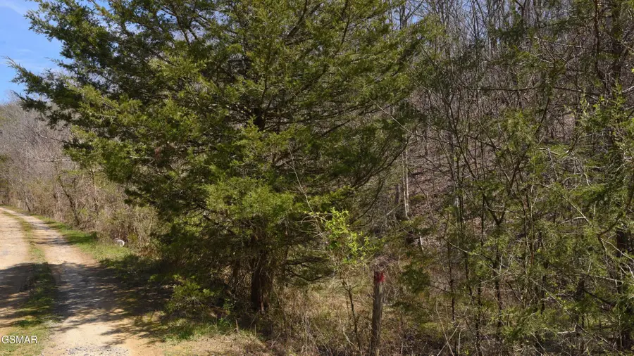912 Cooley King Road, Kodak, TN 37764 - #3