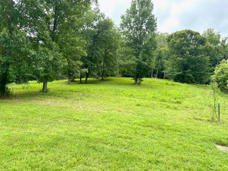 564 Dry Branch Road, Dixon Springs, TN 37057 - #2