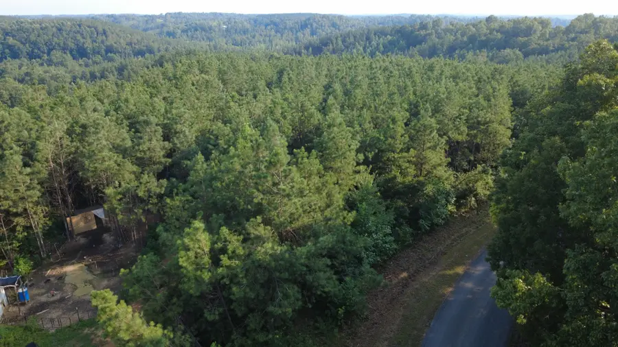1 Rockhouse Rd, Linden, TN 37096 - #2