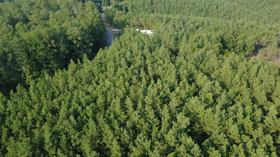 1 Rockhouse Rd, Linden, TN 37096 - #3