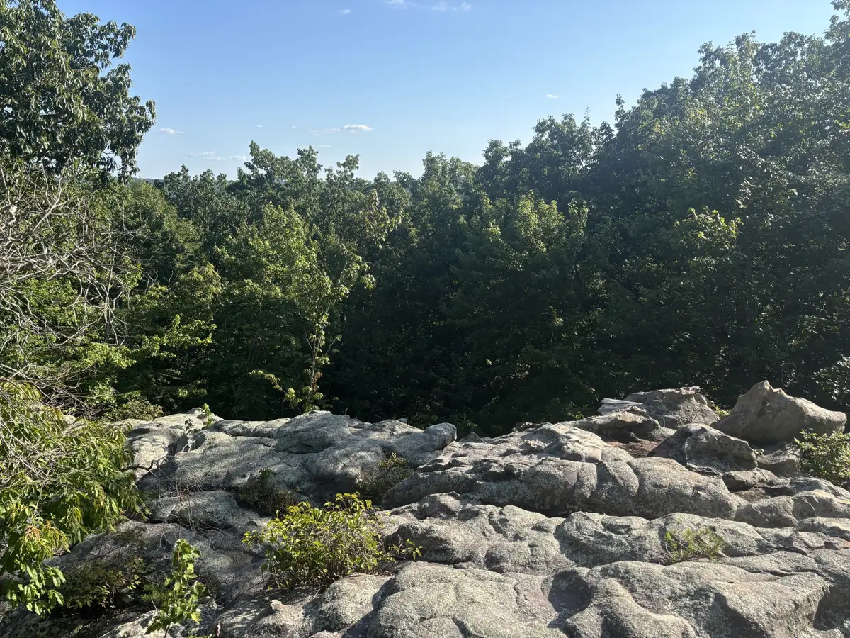 0 Holloway Ridge Road, Spring City, TN 37381 - #1
