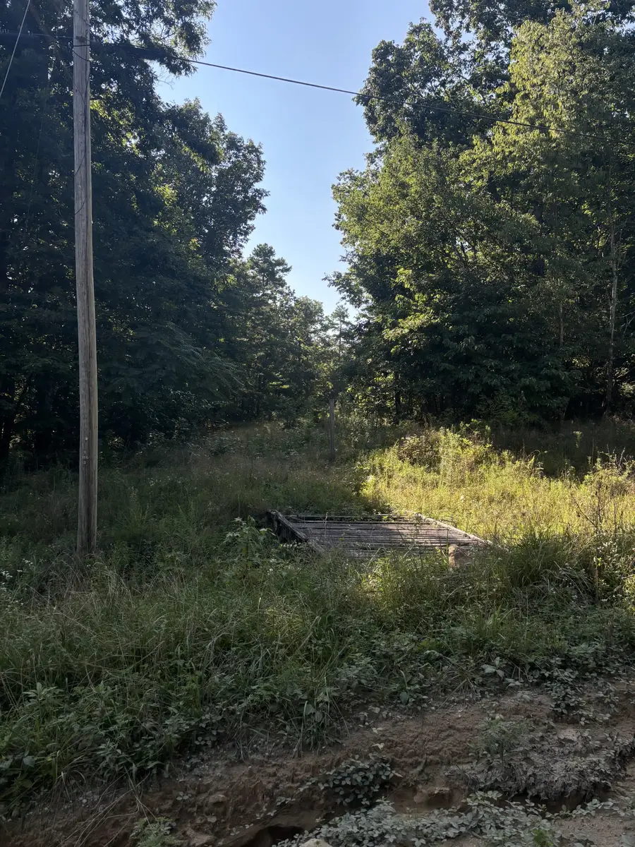 0 Holloway Ridge Road, Spring City, TN 37381 - #2