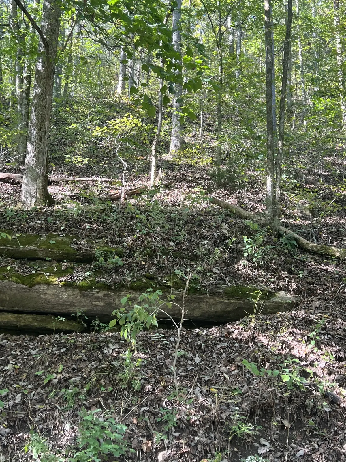 0 Neeley Creek Rd, Celina, TN 38551 - #1