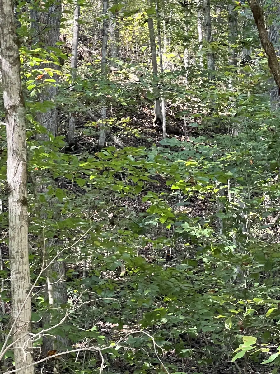 0 Neeley Creek Rd, Celina, TN 38551 - #2