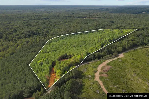 0 Eden Farm Rd, Camden, TN 38320
