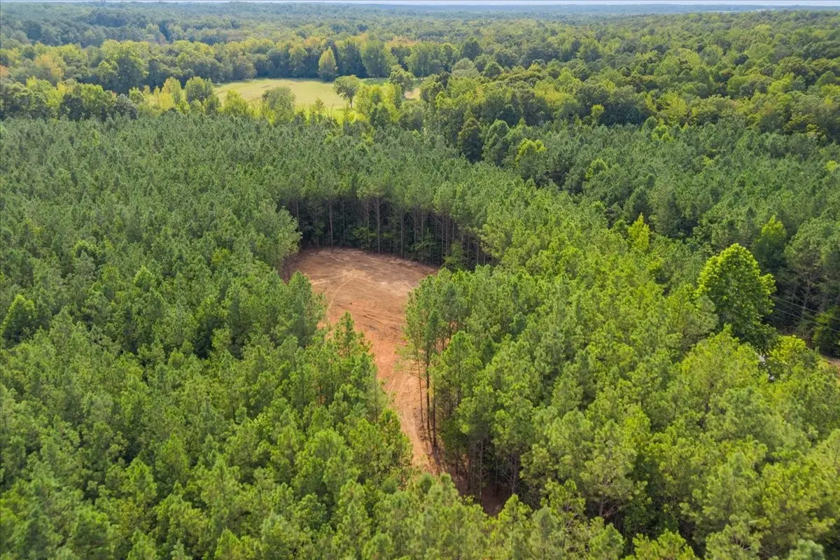 0 Eden Farm Rd, Camden, TN 38320 - #1