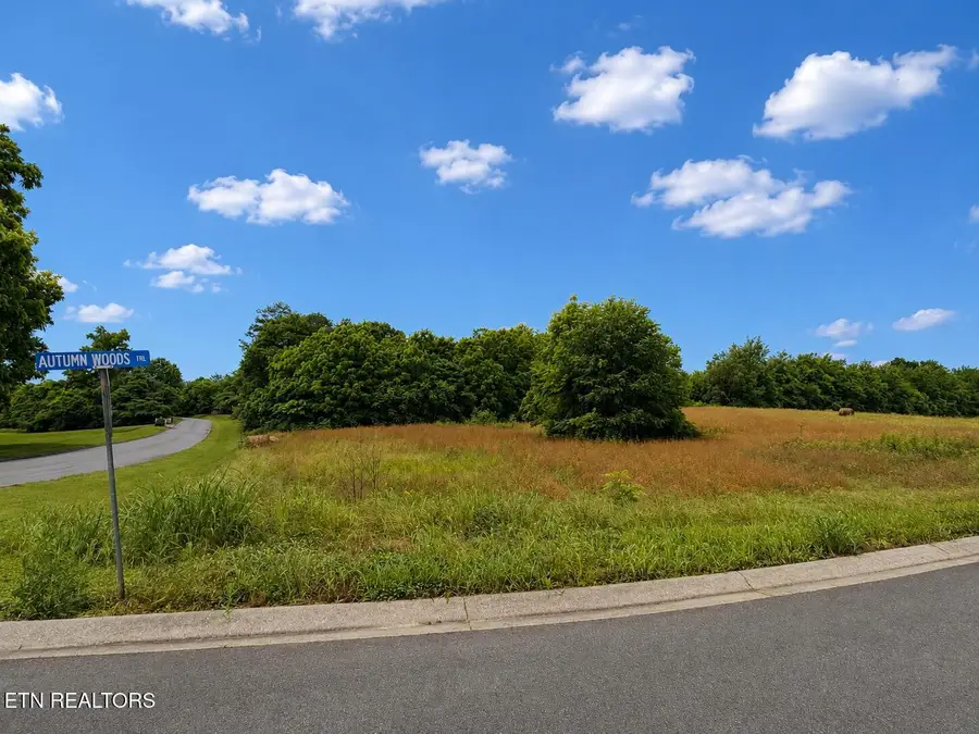 0 Lot 20 Autumn Woods Tr, Sweetwater, TN 37874 - #3