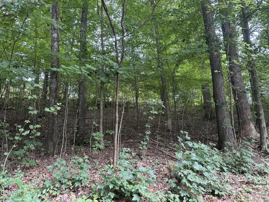 75 Highpoint Drive, Sevierville, TN 37876 - #2
