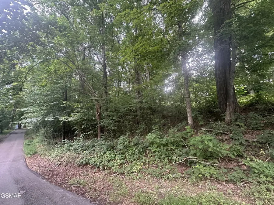 75 Highpoint Drive, Sevierville, TN 37876 - #3