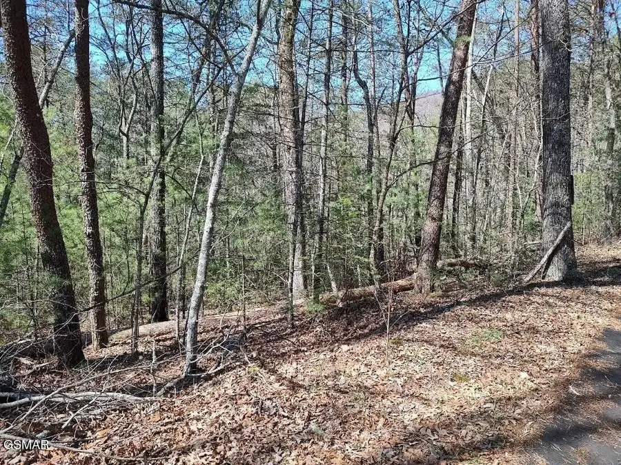 10 John Boy Trail, Sevierville, TN 37862 - #2