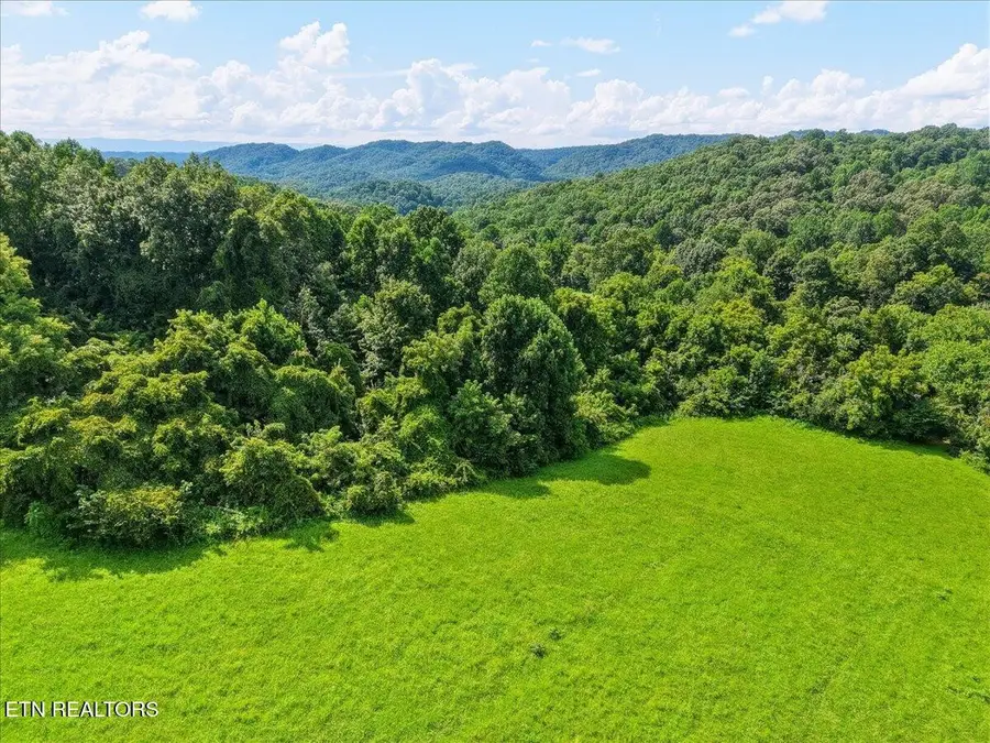579565 Harless Rd, Corryton, TN 37721 - #2