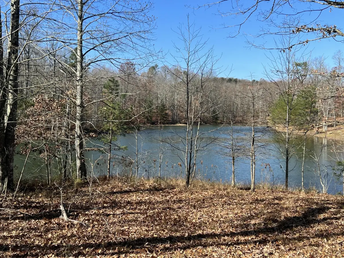 337 Bluff View Drive, Dunlap, TN 37327 - #1