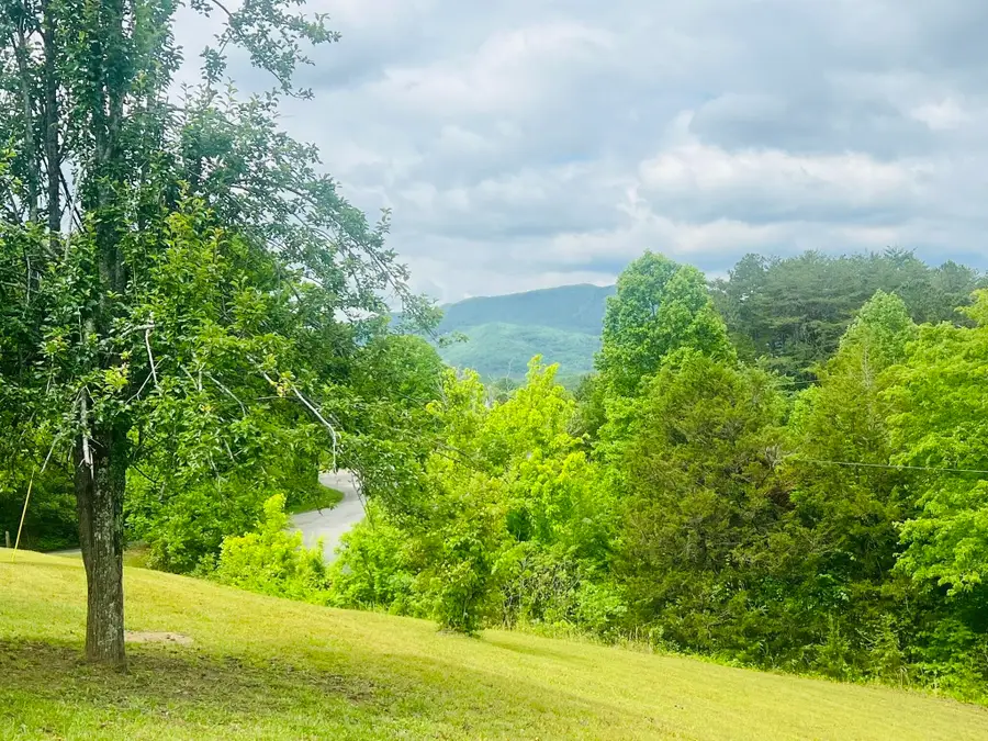 105 Lola Drive, Farner, TN 37333 - #2