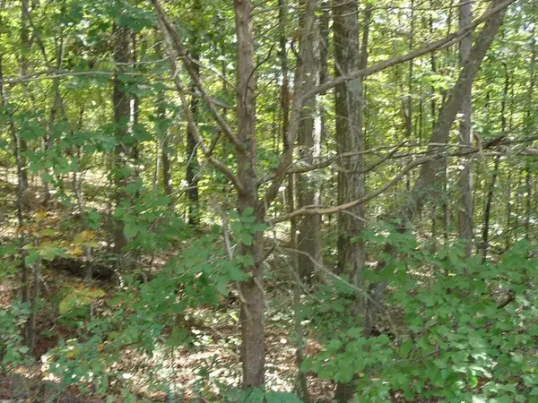 0 Ridge Point Drive Nw, Cleveland, TN 37312