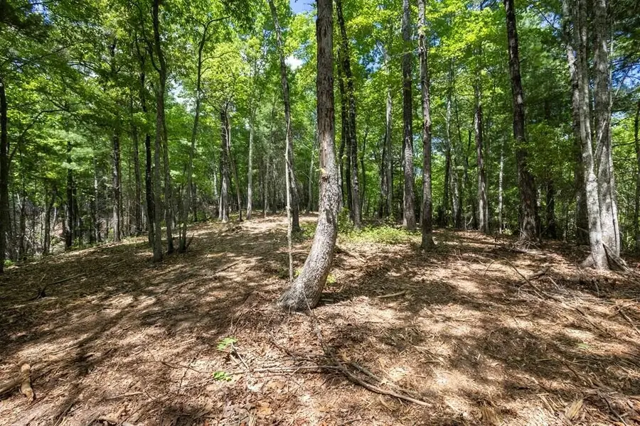 43 Donley Road, Murphy, NC 28906 - #2