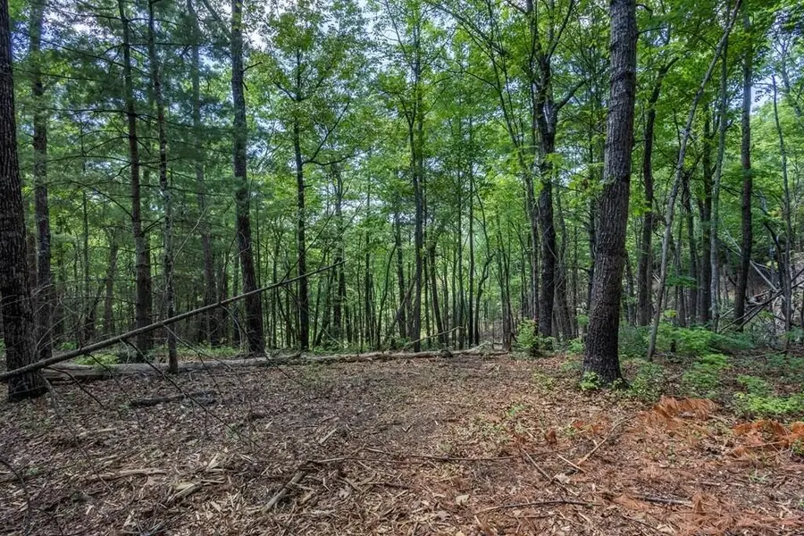 43 Donley Road, Murphy, NC 28906 - #3