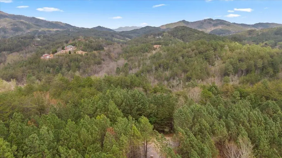 7 Skyline Drive, Turtletown, TN 37391 - #3