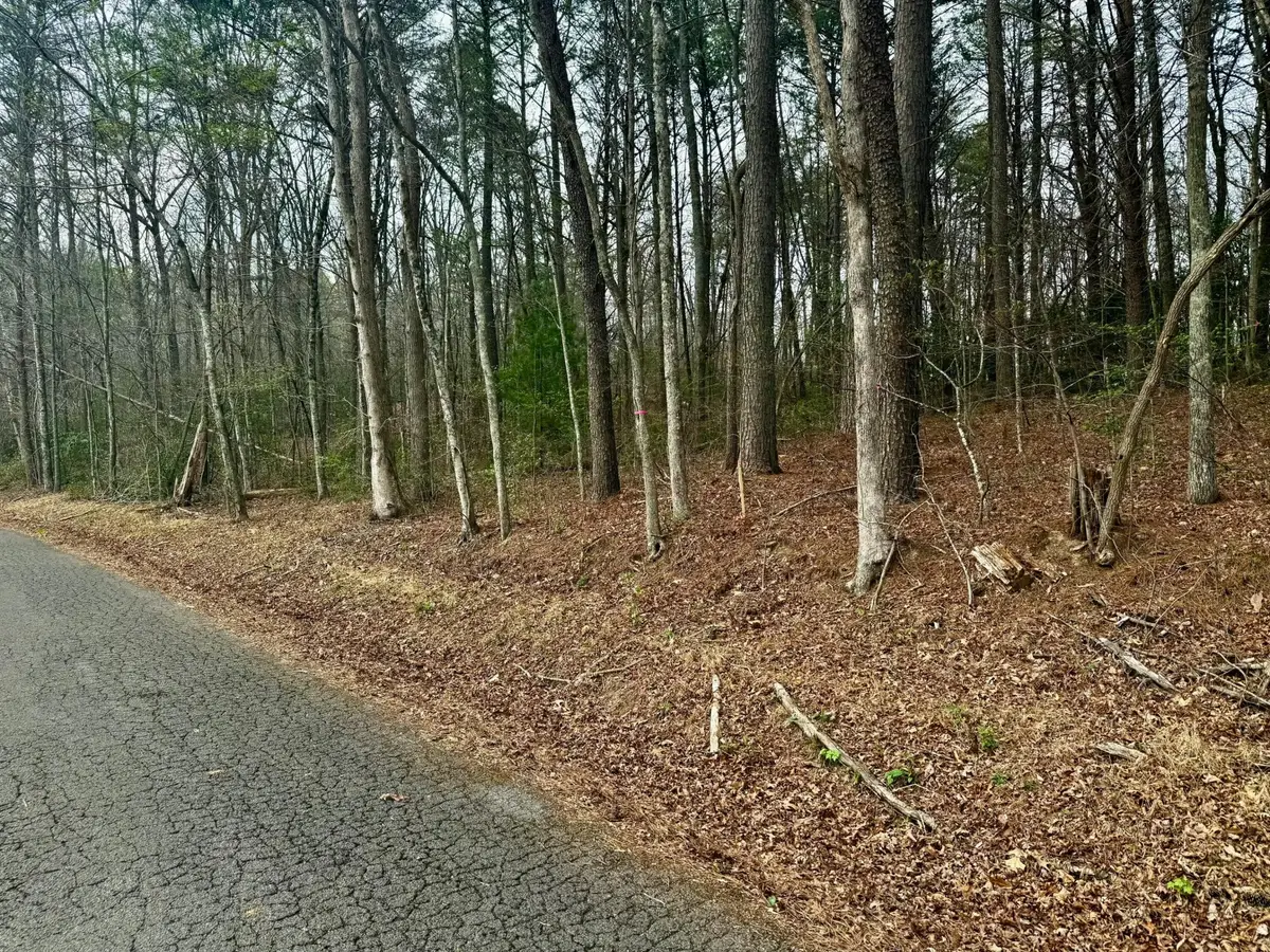 0 Tennessee 68, Turtletown, TN 37391 - #1