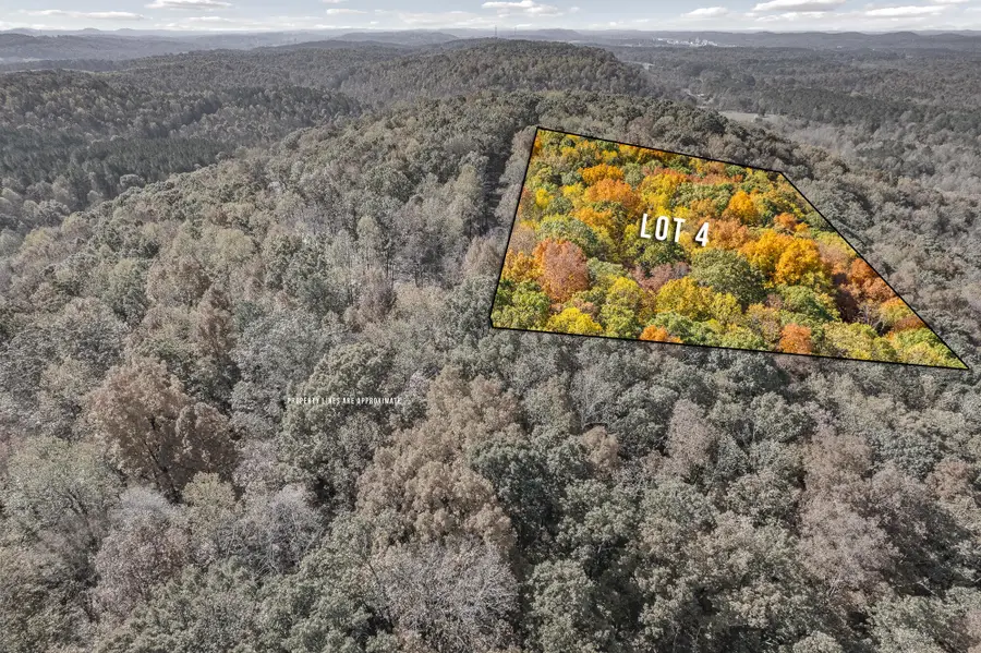 6 County Road 29, Riceville, TN 37370 - #2