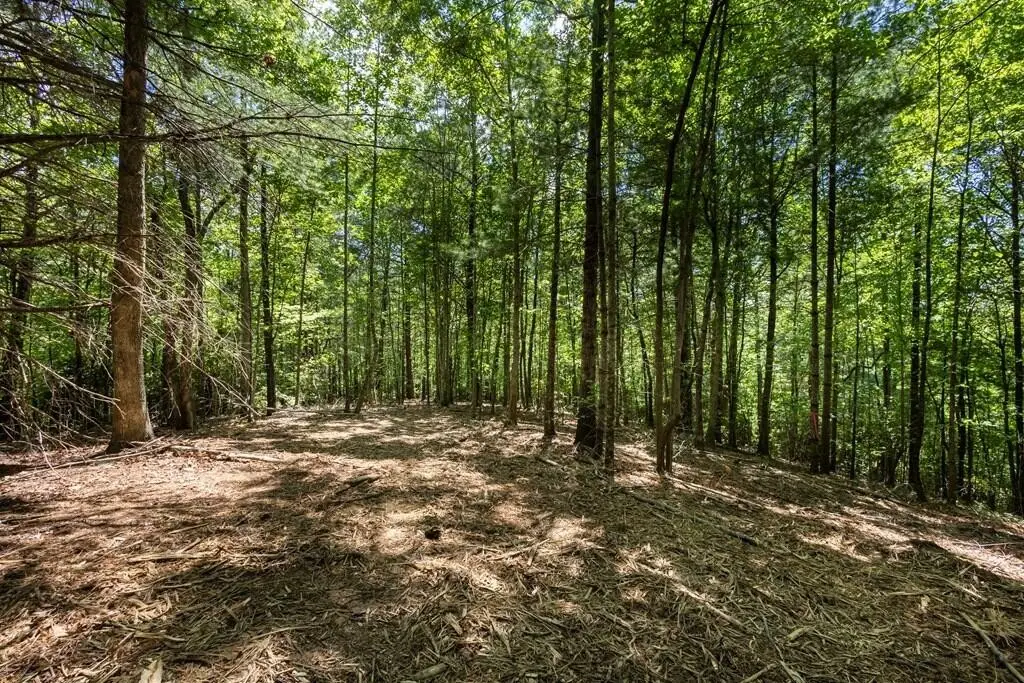 40 Donley Road, Murphy, NC 28906 - #1