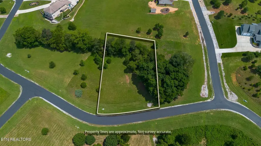 503 W Shore Drive, Rockwood, TN 37854 - #3