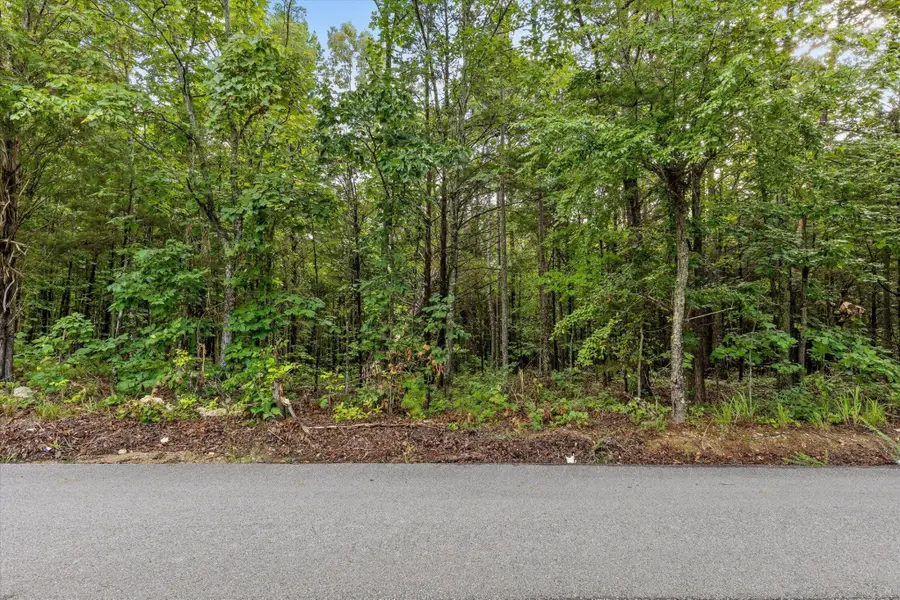 12712 Cranfield Road, Birchwood, TN 37308 - #3