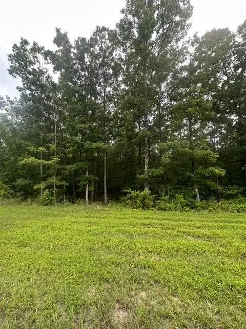 198 Kyuga Drive, South Pittsburg, TN 37380 - #1
