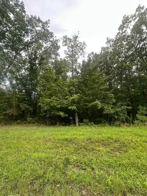 198 Kyuga Drive, South Pittsburg, TN 37380 - #3