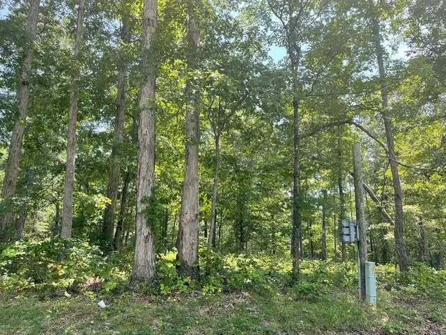0 Hillcrest Road, Waverly, TN 37185 - #2